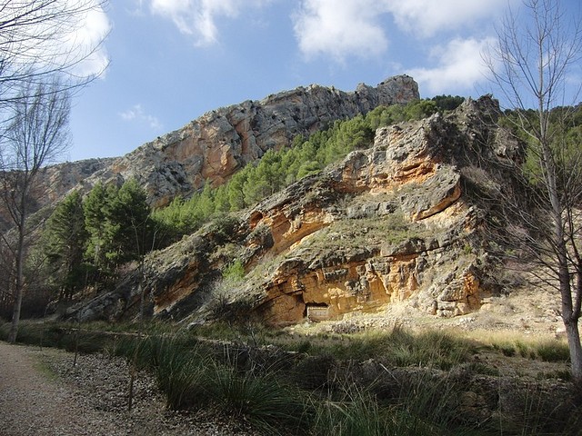 Image00009