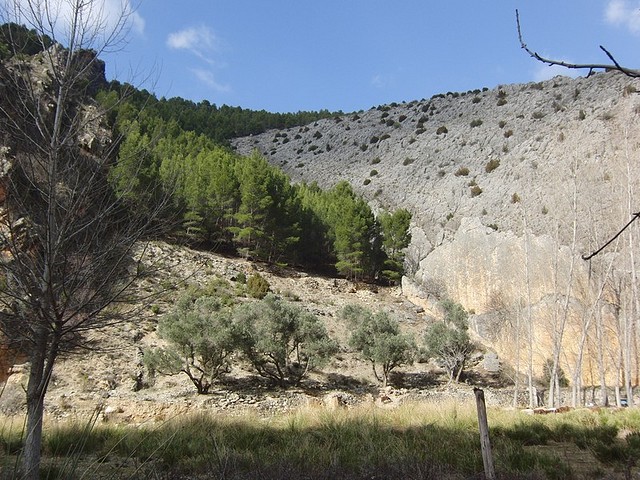 Image00008