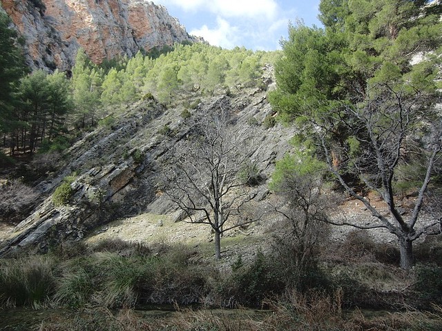 Image00012