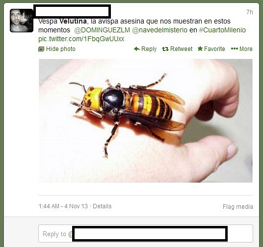 false velutina tweet_03_X