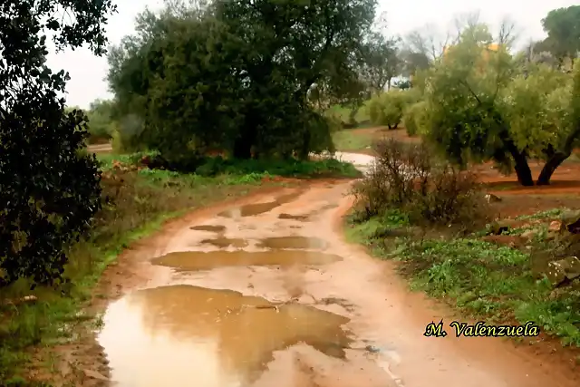 15, camino de cetrina, marca