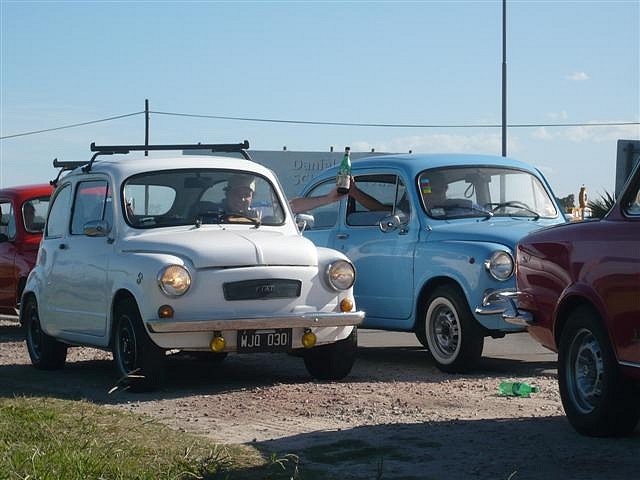 P1130899 (Small) P1130899 (Small)