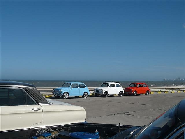 P1130895 (Small) P1130895 (Small)