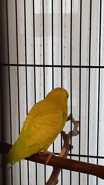 20180829_201455 20180829_201455