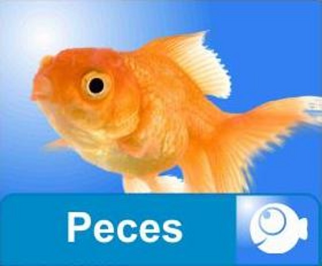 peces web