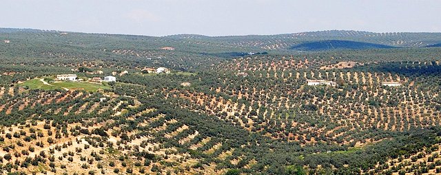 panormica los charcones