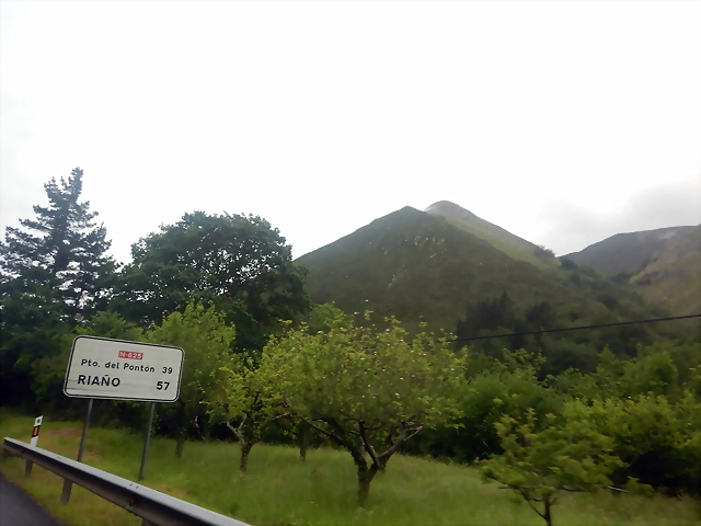 DSCN2854 DSCN2854