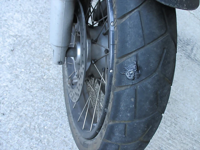 IMG_0265 IMG_0265