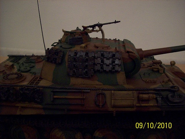 Panther G 08-08 007