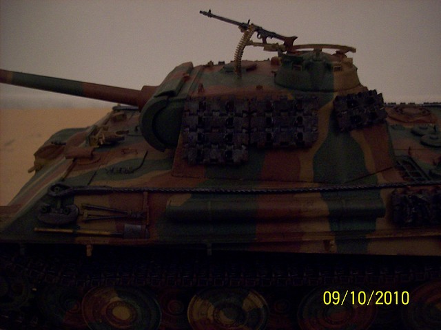 Panther G 08-08 009