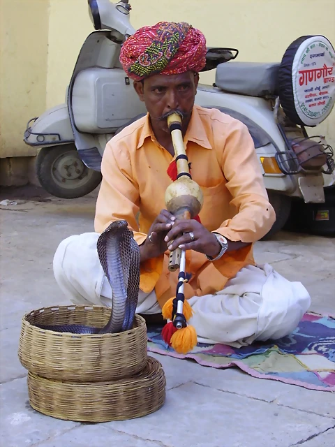 230 old Delhi