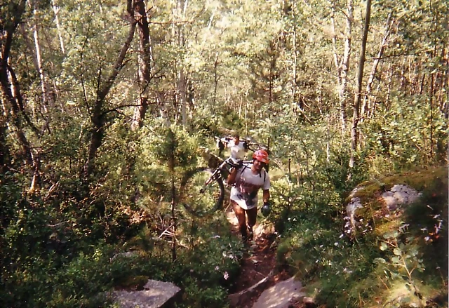 Pirineos2 Pirineos2