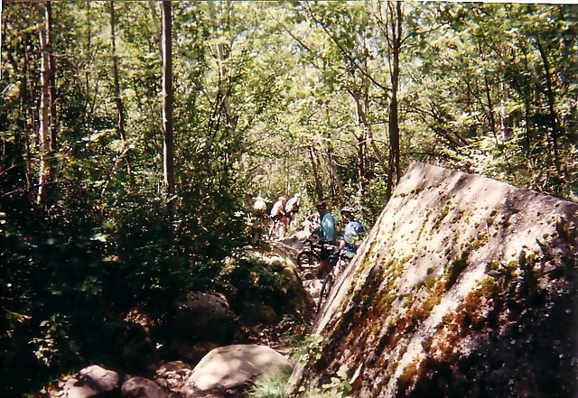 Pirineos1 Pirineos1