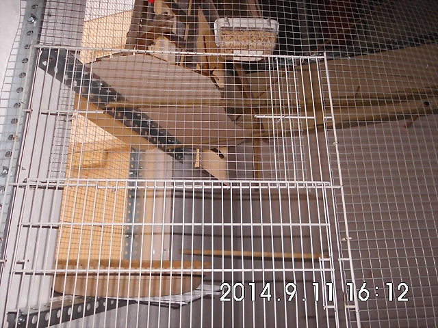 CIMG0600 CIMG0600