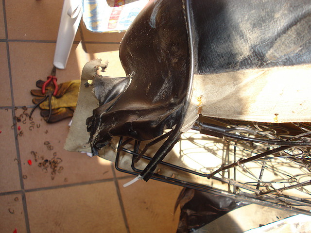 DSC03593 DSC03593