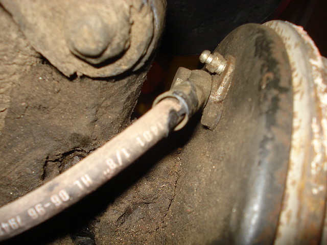 DSC03955 DSC03955