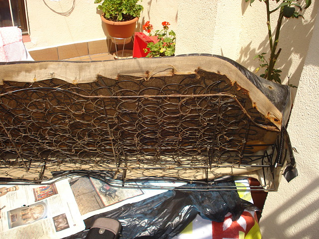 DSC03591 DSC03591