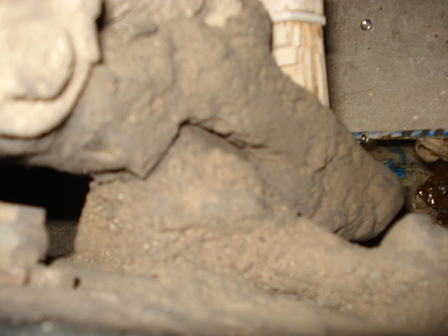 DSC03952 DSC03952