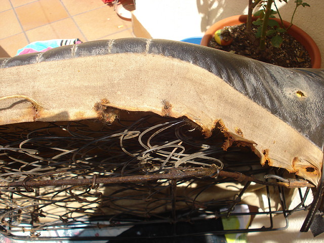 DSC03592 DSC03592