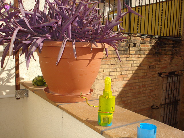 DSC03766 DSC03766