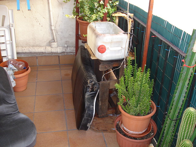 DSC03598 DSC03598