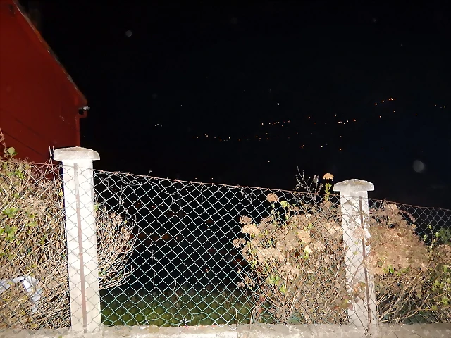 DSCN2226 DSCN2226
