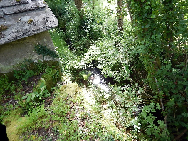DSCN2453 DSCN2453