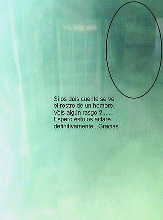 D.Modesto7