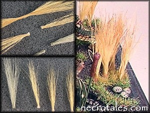 tut08_fieldgrass_01