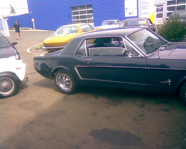 Mustang8 Mustang8