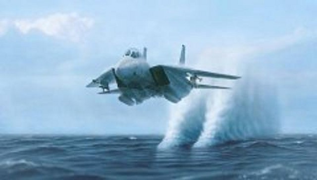 F-14_Tomcat,_Flying_at_Zero_Altitude