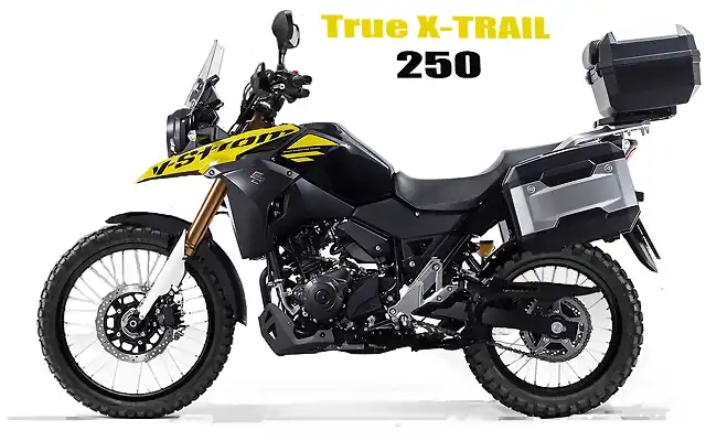 Vstrom 250 True xtrail copia