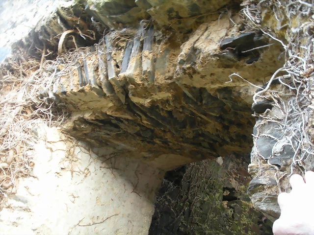 DSCN2822 DSCN2822