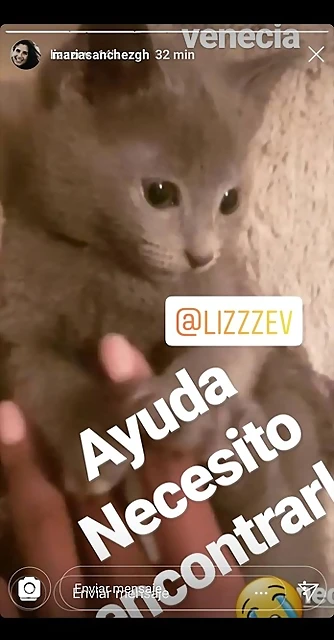 Mar?a IG Stories 12-5-2019 (1) Mar?a IG Stories 12-5-2019 (1)