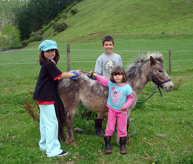 los ninos con los caballos