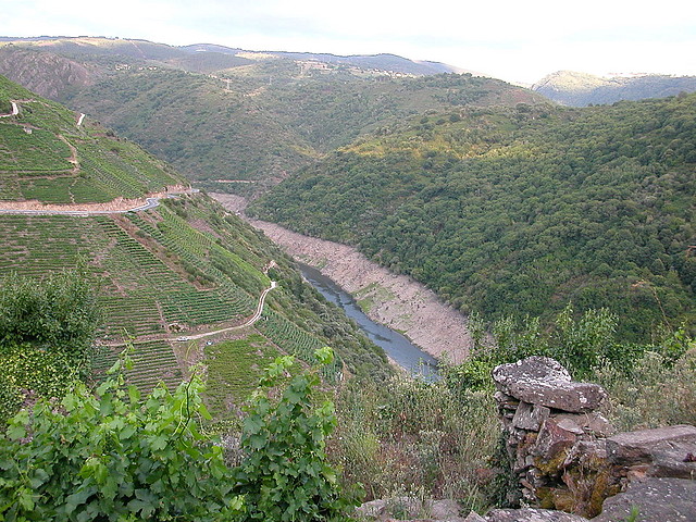 DSCN1903 DSCN1903