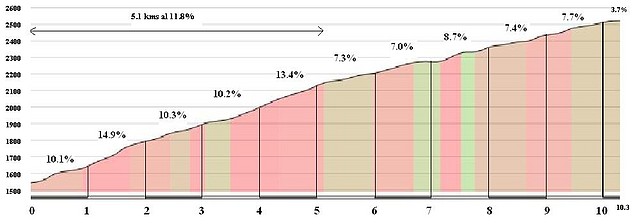 palmas_tesoro