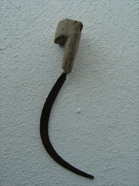 corvilla corvilla