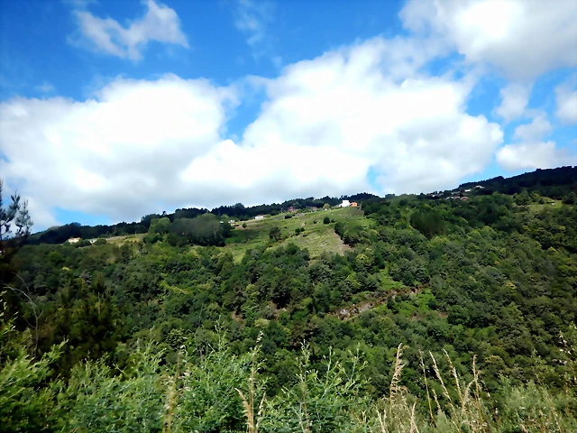 DSCN7694 DSCN7694