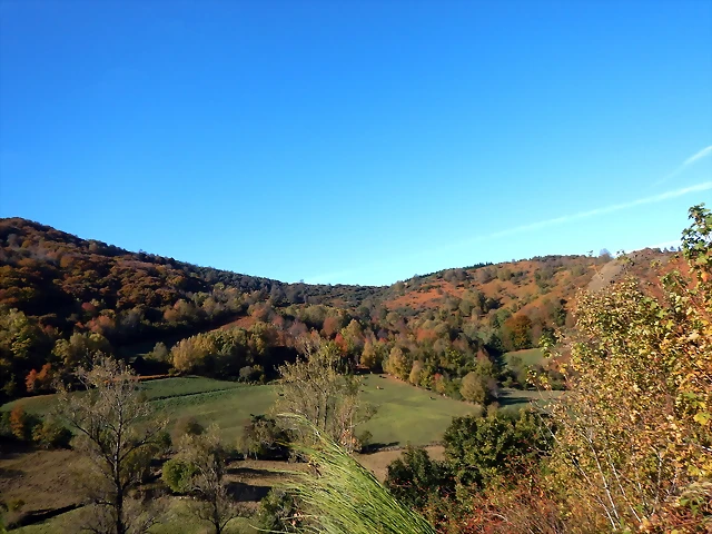 DSCN0024 DSCN0024