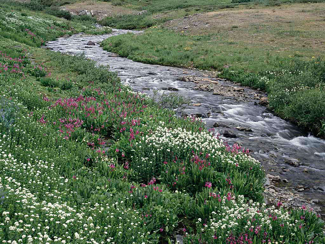 Creek Creek