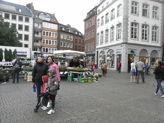 R0013379 R0013379