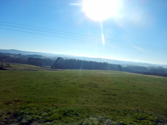 DSCN1090 DSCN1090