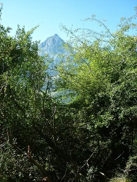 pico san vicente