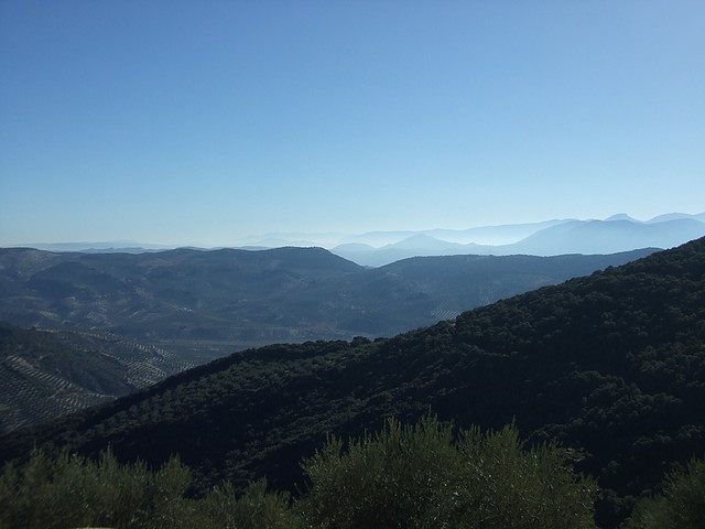 DSCF2151 DSCF2151