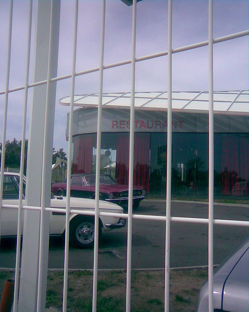 Mustang3 Mustang3