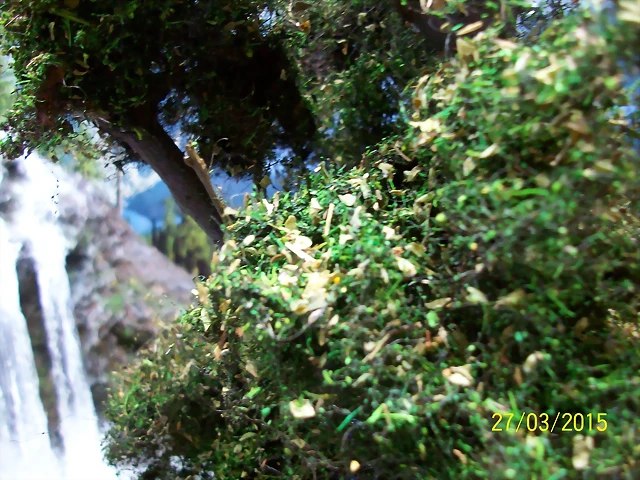 101_0342 101_0342