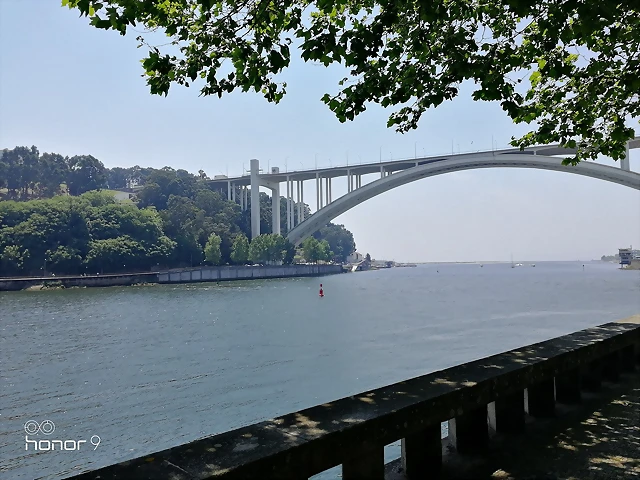 IMG_20180623_142124 IMG_20180623_142124