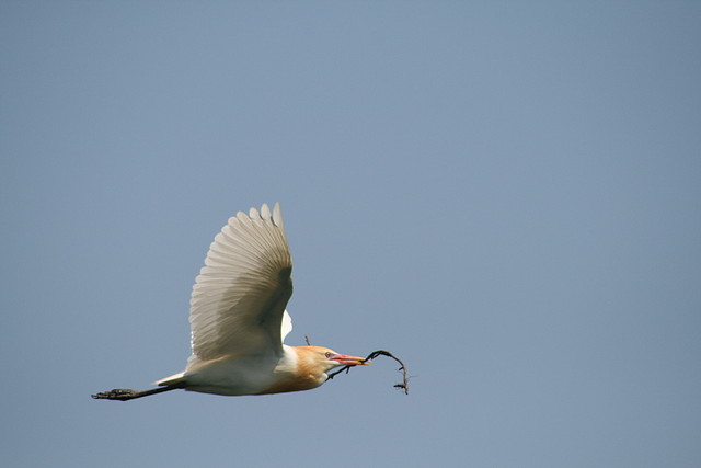 IMG_2152 IMG_2152