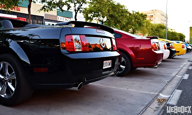 DSC_0975 DSC_0975